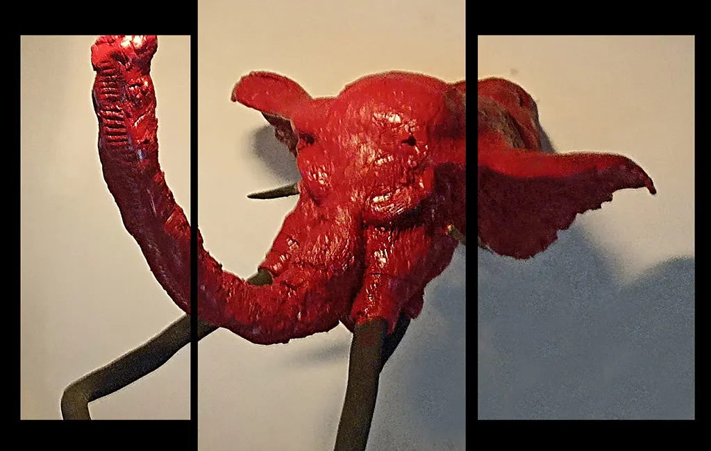 Testa di un Olifante appesa al muro