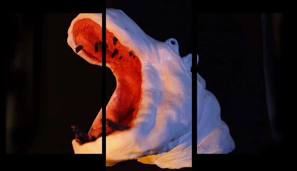 Testa di ippopotamo con colori stilizzati